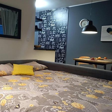 Sun Center Apartment Novi Sad Buitenkant foto